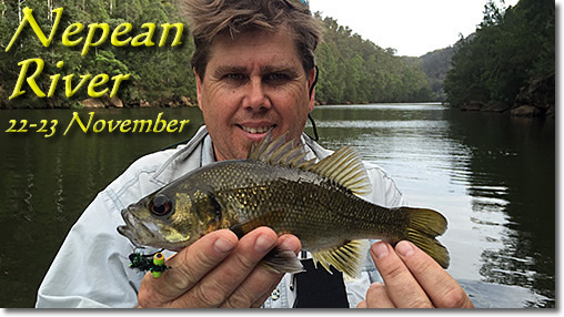 Nepean River Bass – November 2014